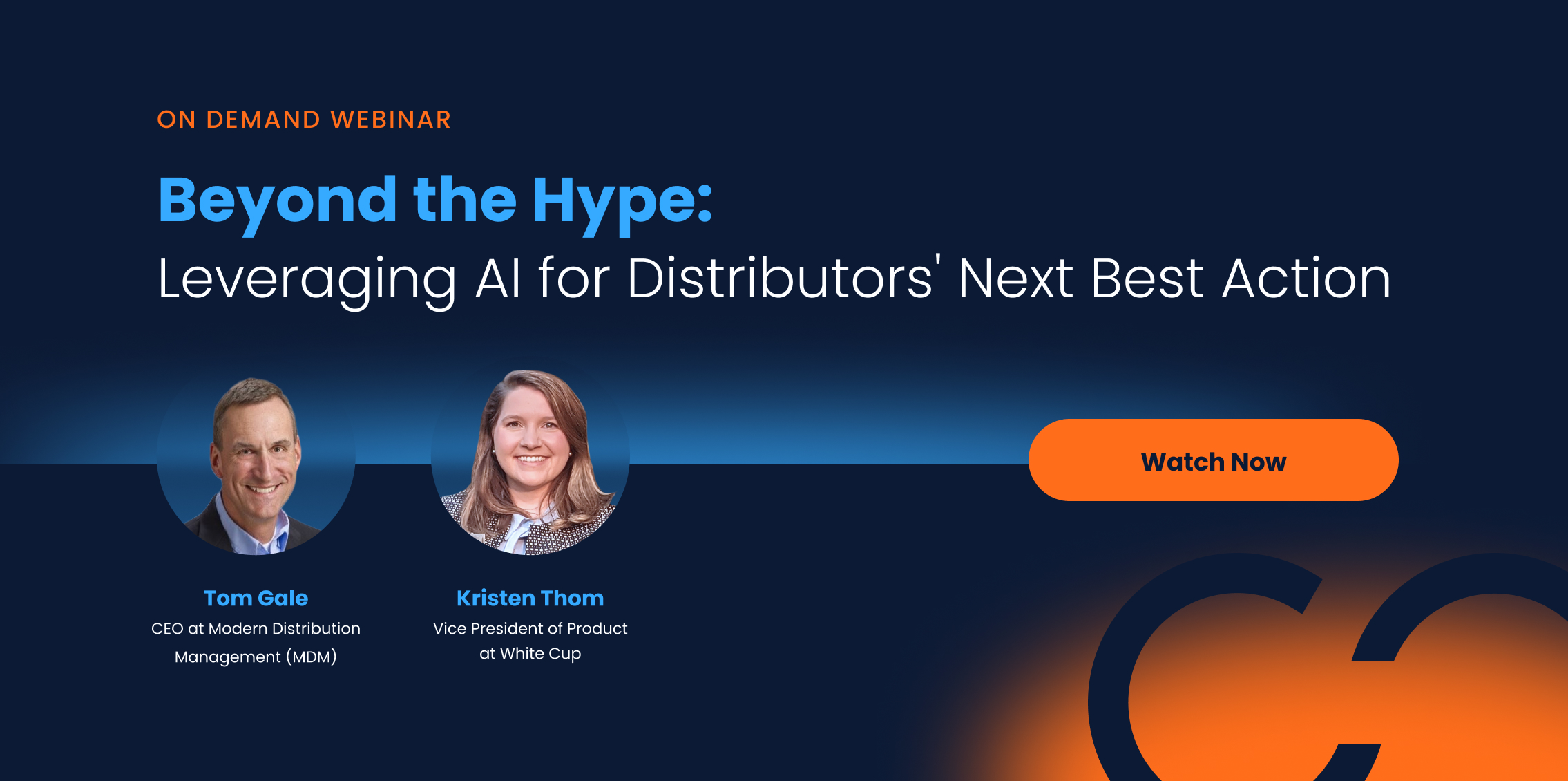 Leveraging AI for distributors' next best actions