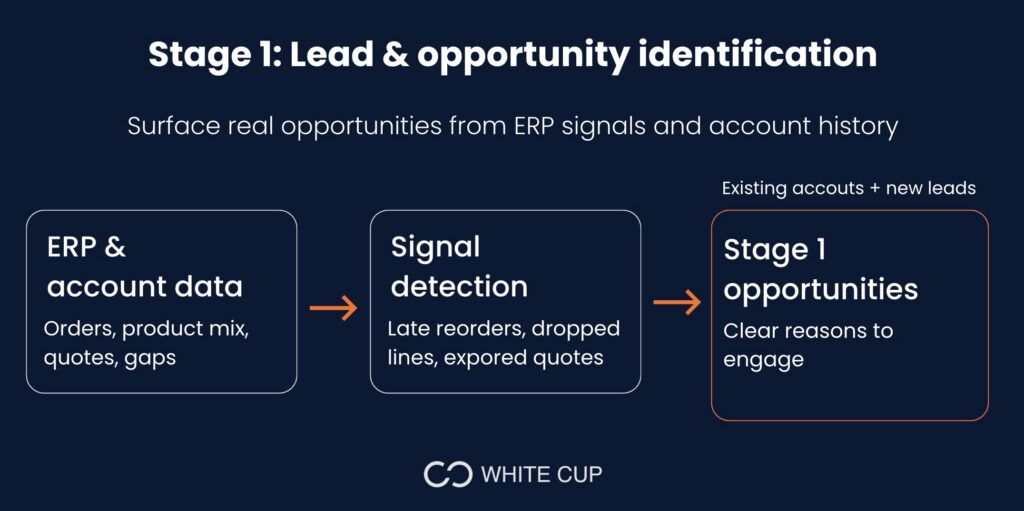 Stage 1: Lead & opportunity identification