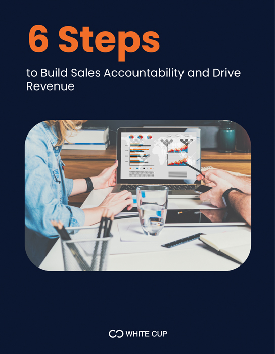 6 steps-to Build Sales Accountability and Drive Revenue