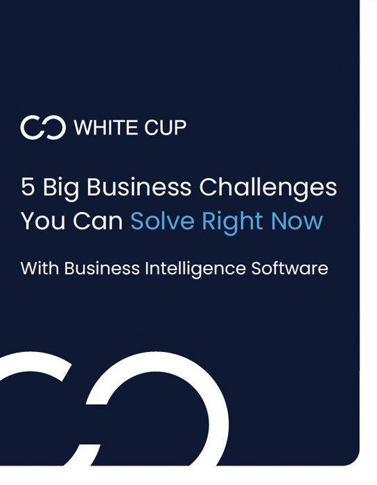 Business Challenges Solved by Business Intelligence Software Cover