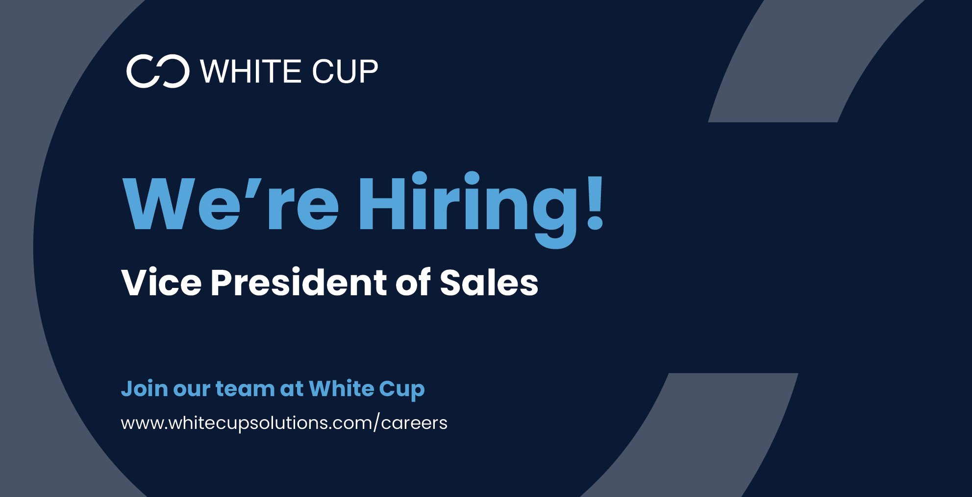 White Cup Vice President of Sales Hire