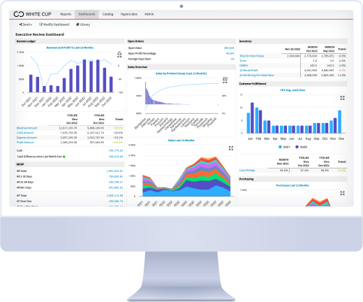 An executive dashboard in White Cup BI, illustrating how the software improves business intelligence for Epicor P21