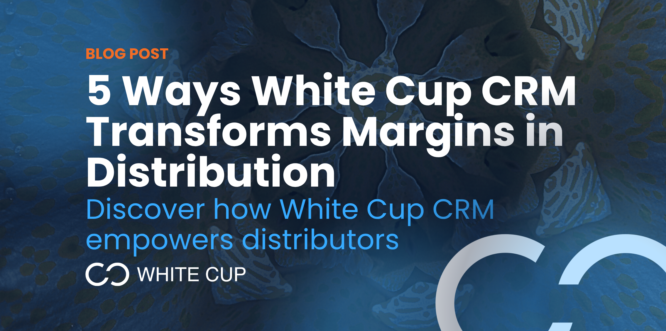 5 Ways White Cup CRM Transforms Margins in Distribution