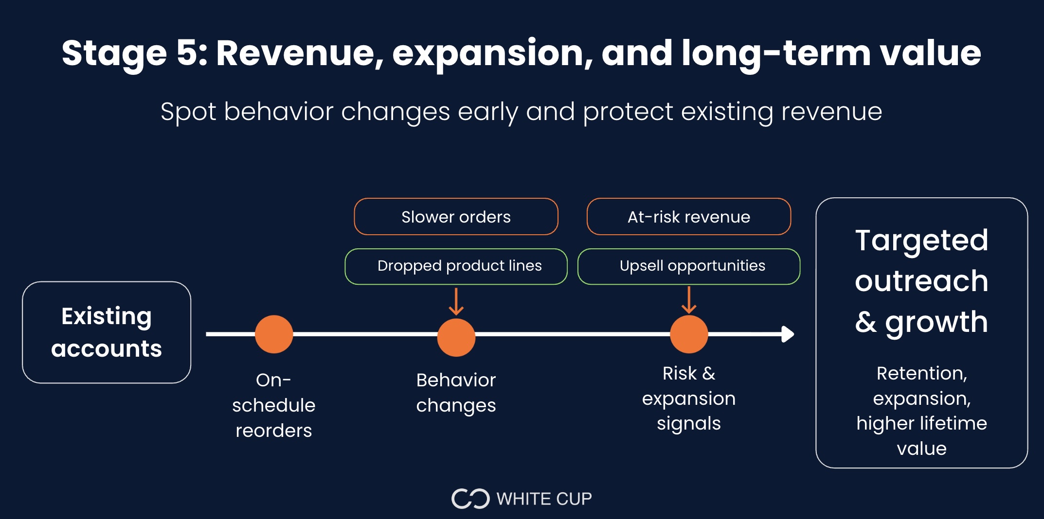 Stage 5: Revenue, expansion, and long-term value